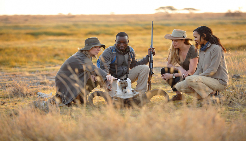 Actual image number 3 for slideshow images, displaying 23 tanzania safari images