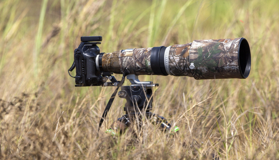 Actual image number 1 for slideshow images, displaying 21 tanzania safari images