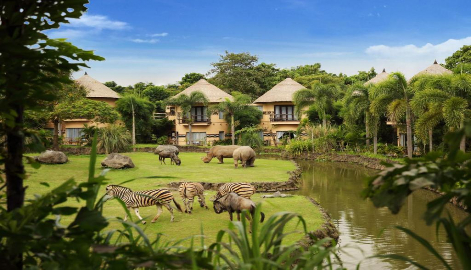 Actual image number 1 for slideshow images, displaying 21 tanzania safari images