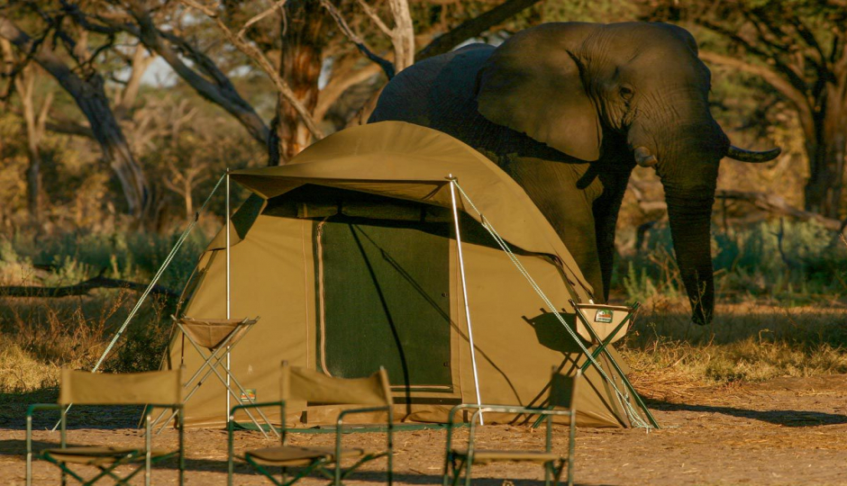 Random image number 6 showcasing tanzania safari image gallery placeholder