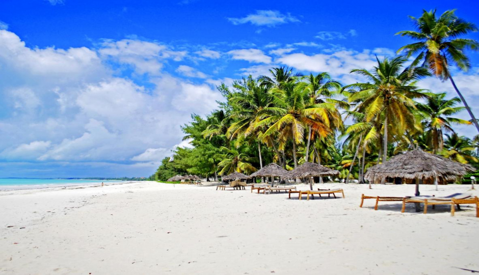 Random image number 1 showcasing tanzania safari image gallery placeholder