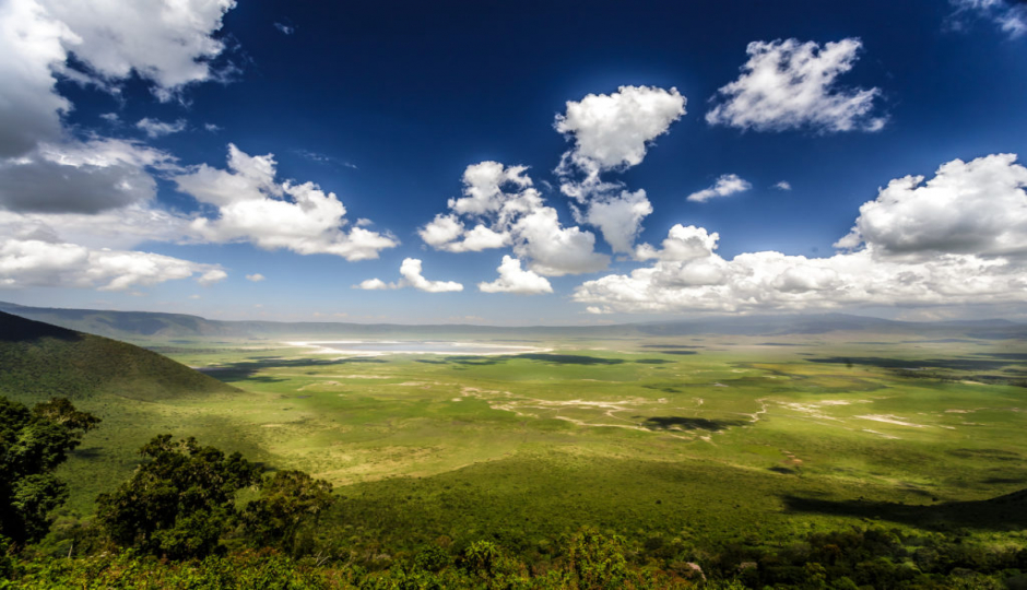 Actual image number 4 for slideshow images, displaying 24 tanzania safari images