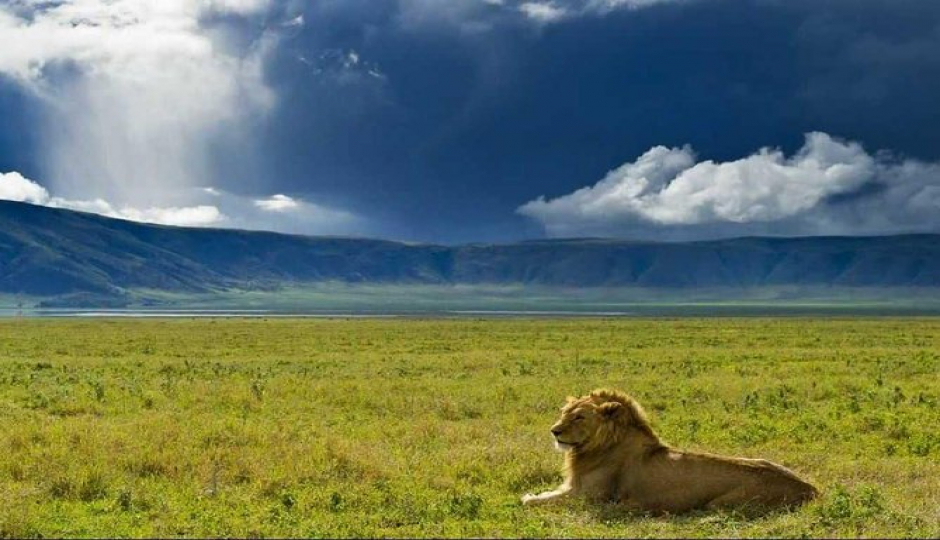 Actual image number 12 for slideshow images, displaying 32 tanzania safari images