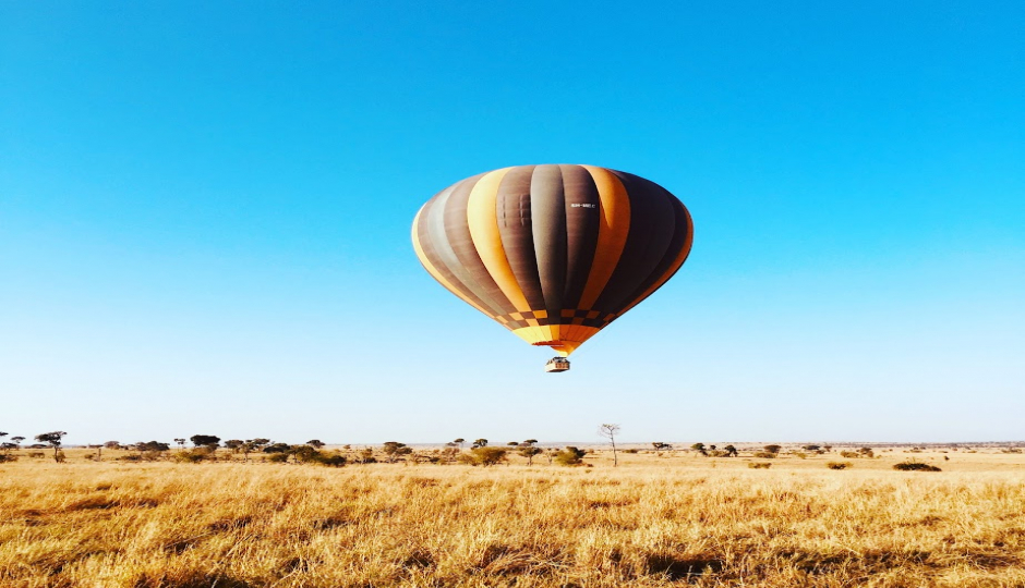 Actual image number 6 for slideshow images, displaying 26 tanzania safari images