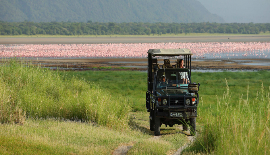 Actual image number 7 for slideshow images, displaying 27 tanzania safari images