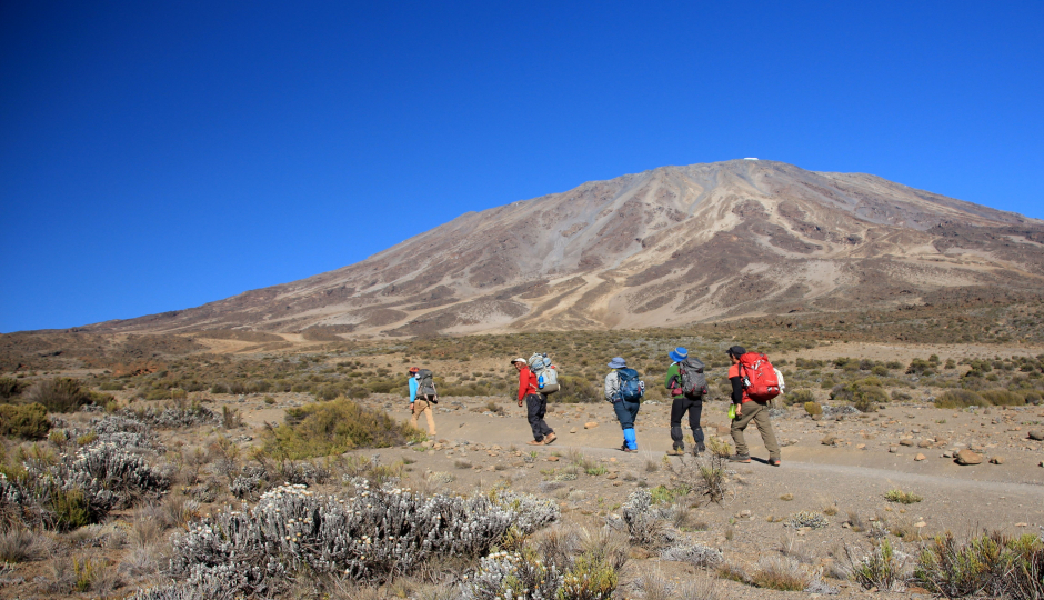 Thumb Nail Image: 5 Conquering Kilimanjaro - The Epic Journey of the Lemosho Route