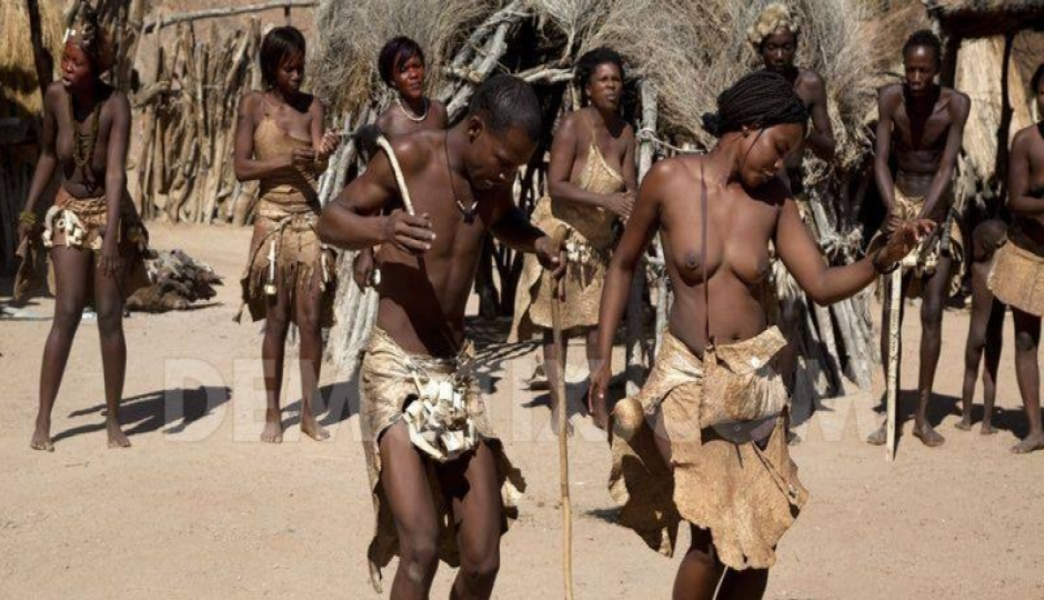 Random image number 5 showcasing tanzania safari image gallery placeholder