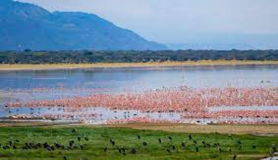 Actual image number 1 for slideshow images, displaying 21 tanzania safari images