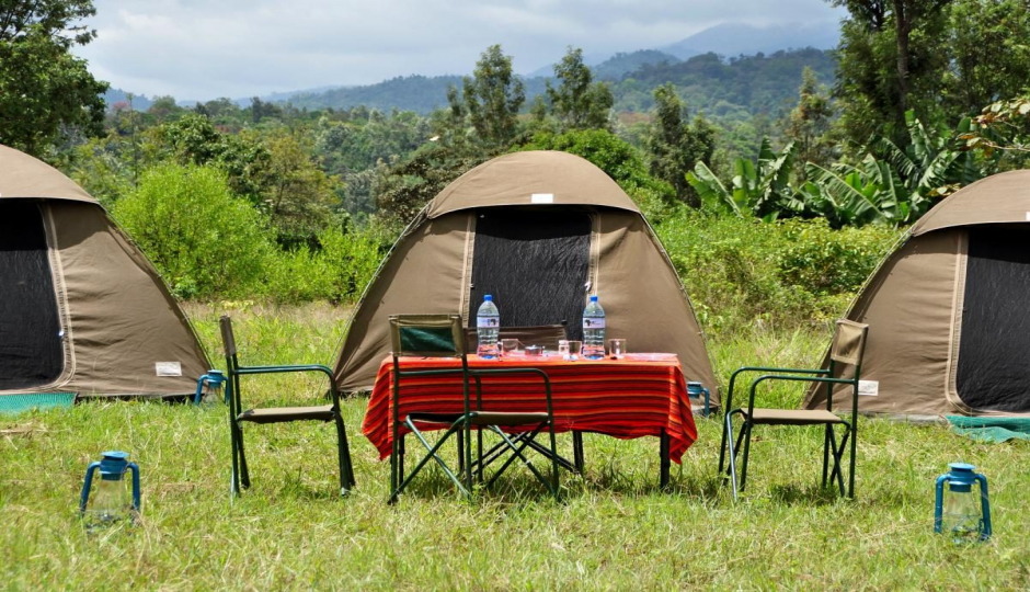 Actual image number 6 for slideshow images, displaying 26 tanzania safari images