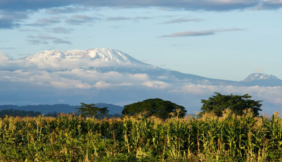 Actual image number 13 for slideshow images, displaying 33 tanzania safari images