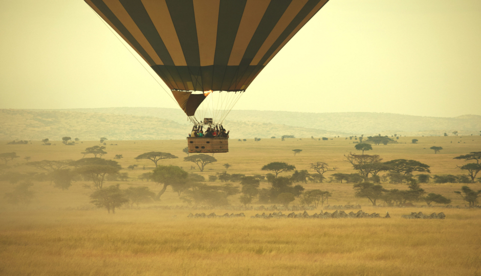 Random image number 5 showcasing tanzania safari image gallery placeholder