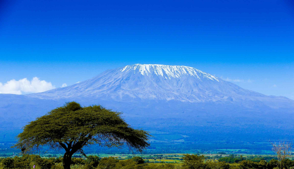 Actual image number 13 for slideshow images, displaying 33 tanzania safari images