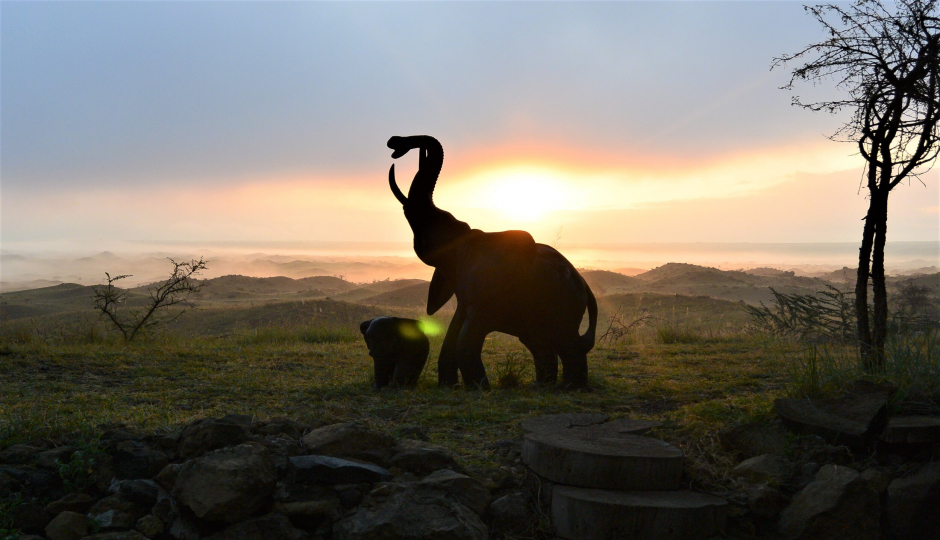 Actual image number 2 for slideshow images, displaying 22 tanzania safari images