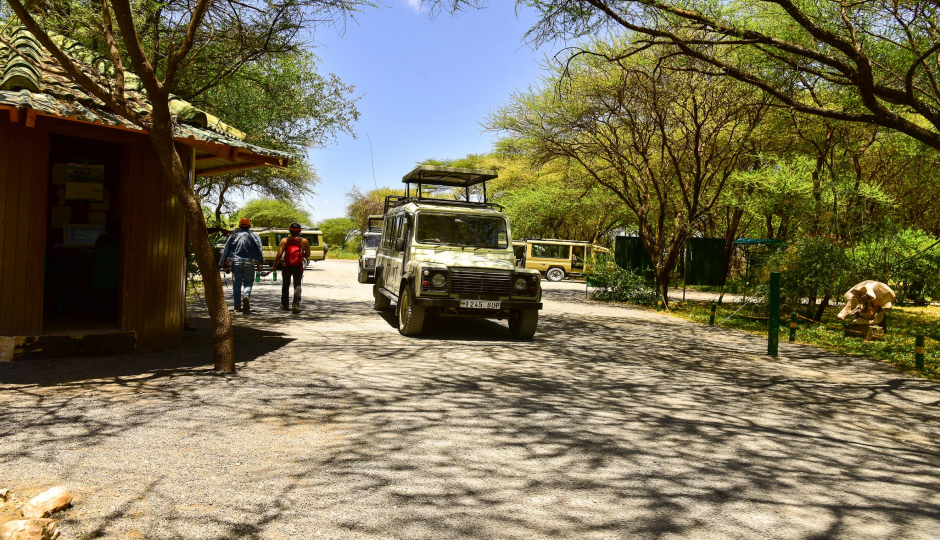 Actual image number 1 for slideshow images, displaying 21 tanzania safari images