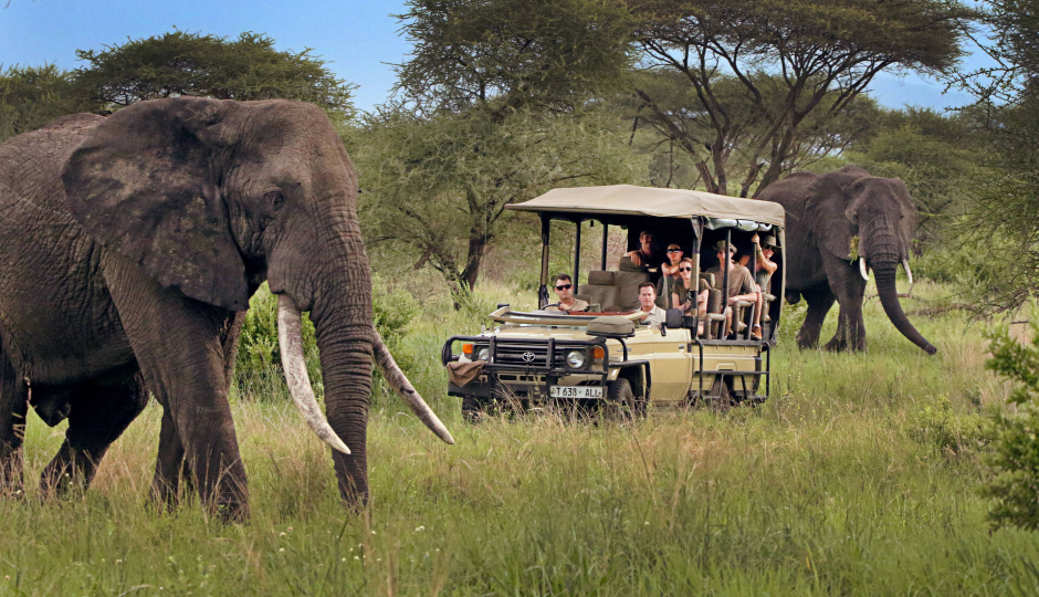 Random image number 2 showcasing tanzania safari image gallery placeholder