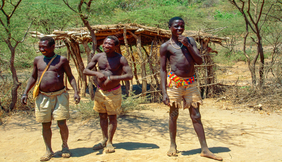Actual image number 2 for slideshow images, displaying 22 tanzania safari images
