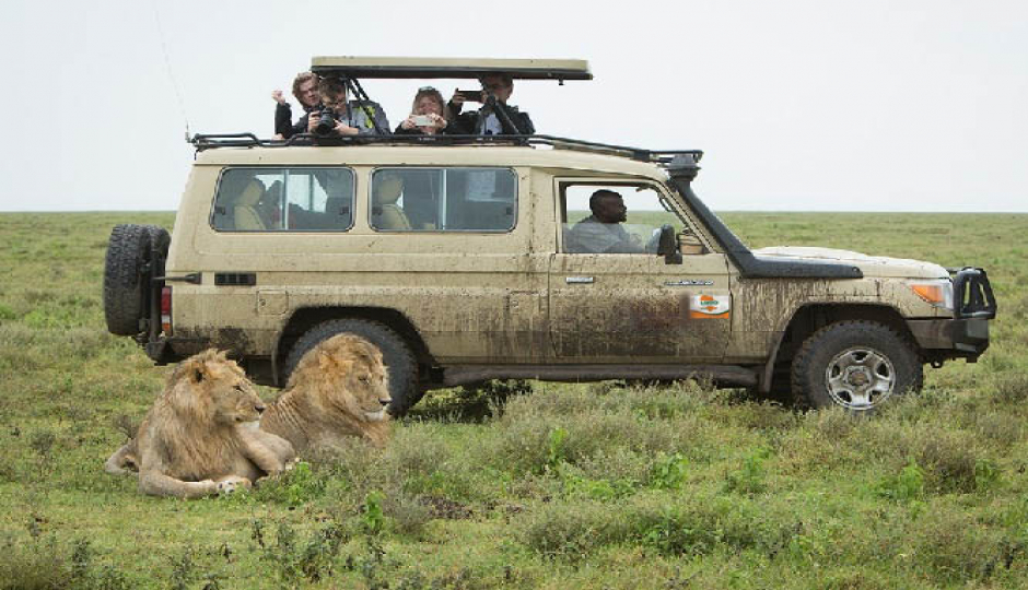 Actual image number 4 for slideshow images, displaying 24 tanzania safari images