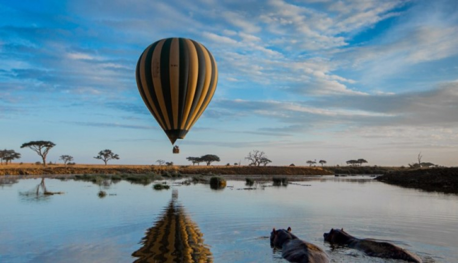 Actual image number 20 for slideshow images, displaying 40 tanzania safari images