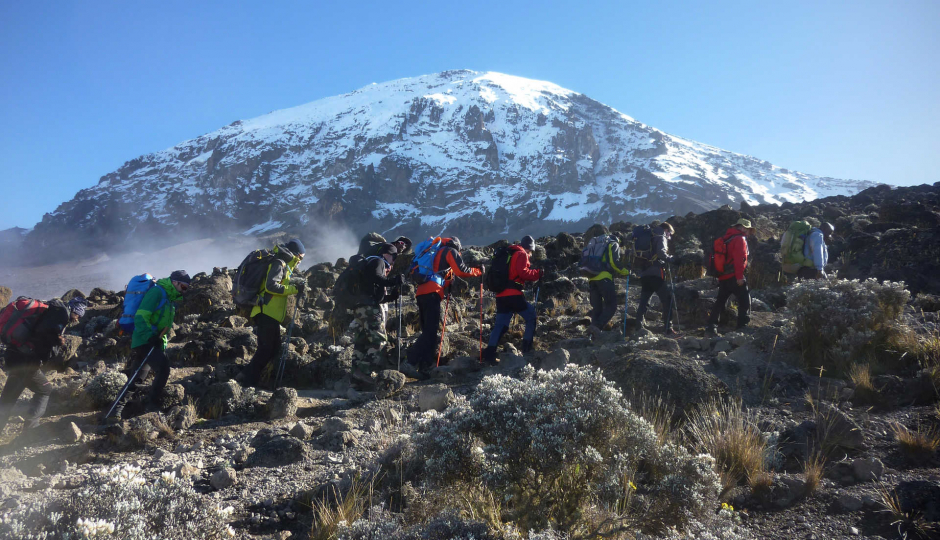 Thumb Nail Image: 6 The Ultimate Adventure - Climbing Kilimanjaro and Safari in Tanzania