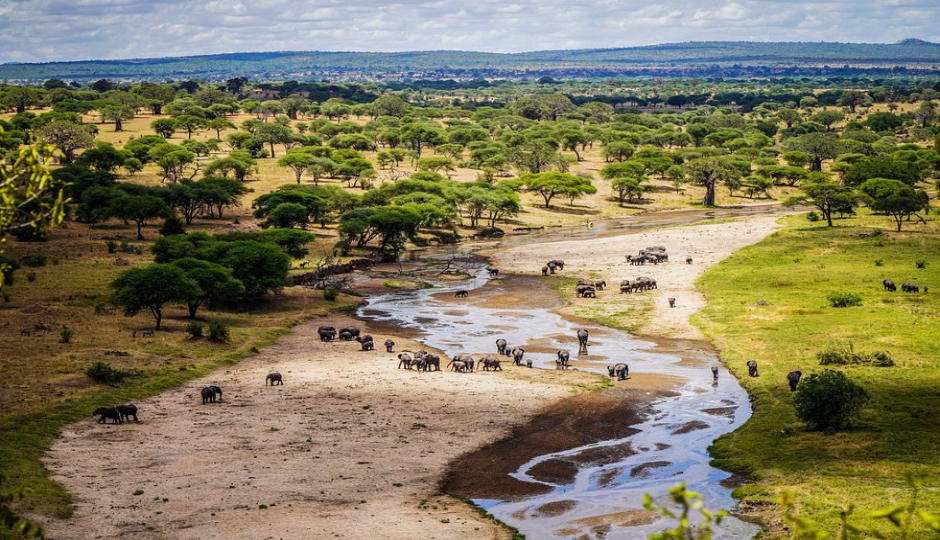 Actual image number 20 for slideshow images, displaying 40 tanzania safari images