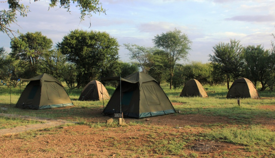 Random image number 2 showcasing tanzania safari image gallery placeholder