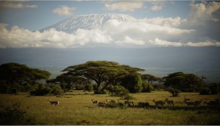Actual image number 14 for slideshow images, displaying 34 tanzania safari images