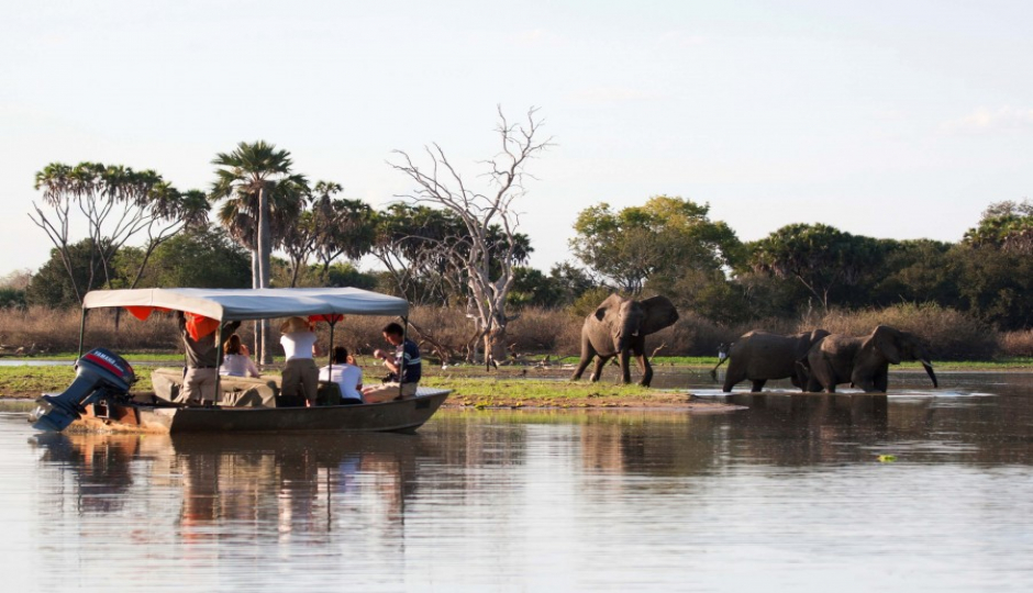 Actual image number 20 for slideshow images, displaying 40 tanzania safari images