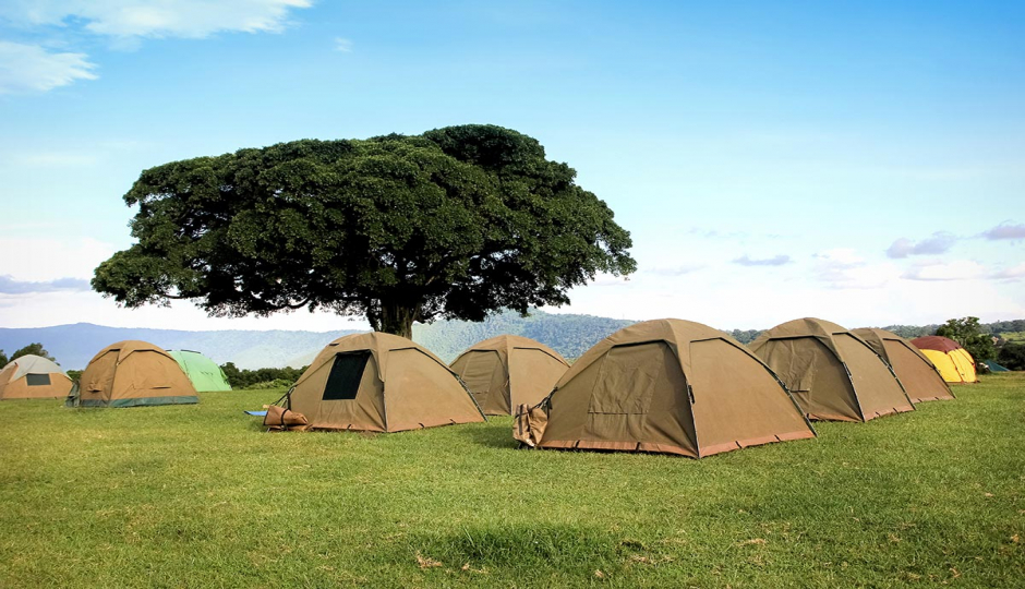 Random image number 5 showcasing tanzania safari image gallery placeholder