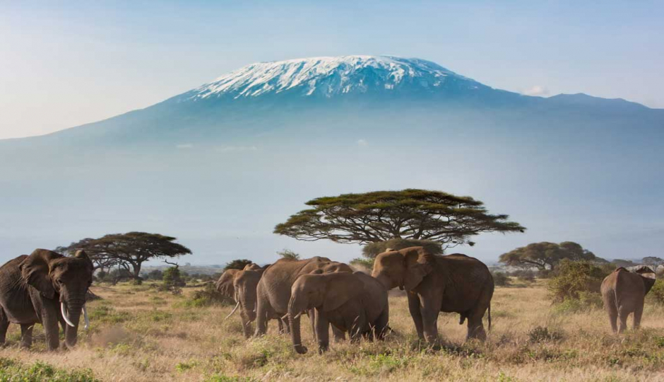 Actual image number 2 for slideshow images, displaying 22 tanzania safari images