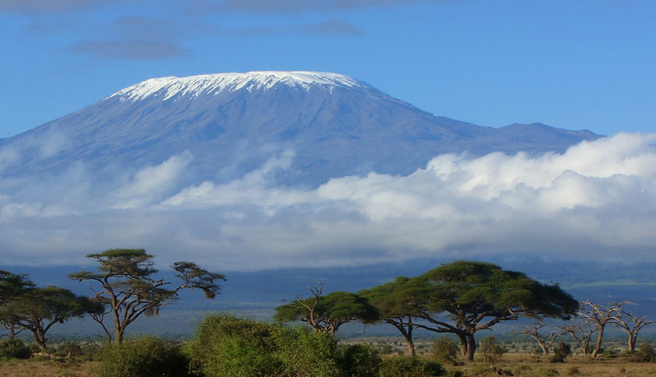 Actual image number 2 for slideshow images, displaying 22 tanzania safari images