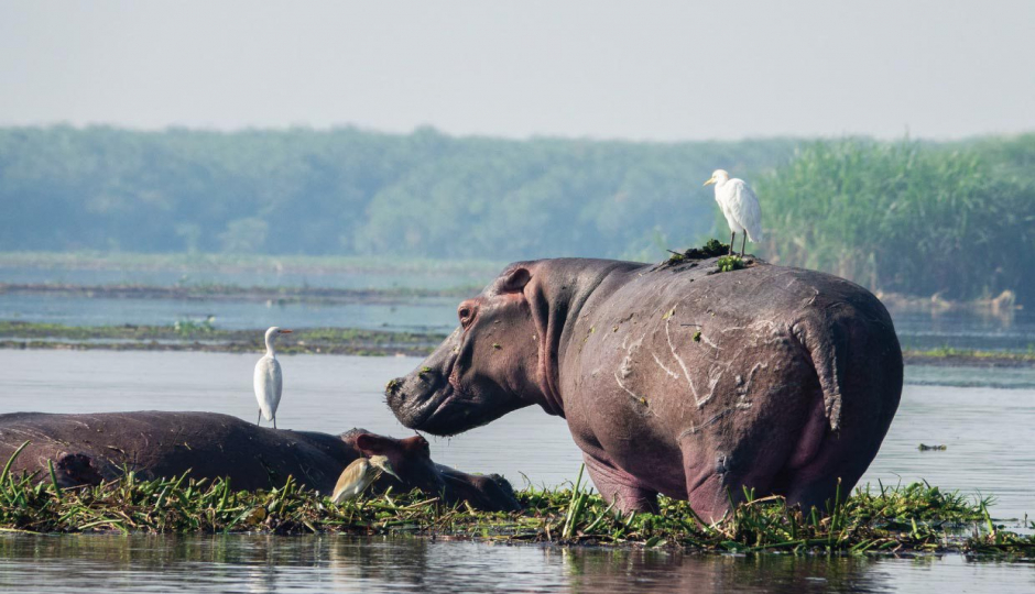 Actual image number 5 for slideshow images, displaying 25 tanzania safari images