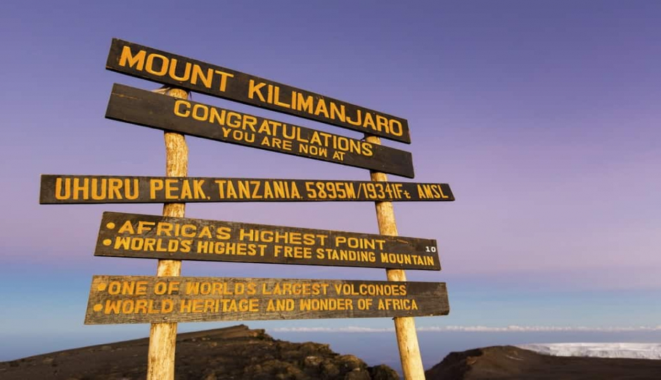 Random image number 6 showcasing tanzania safari image gallery placeholder