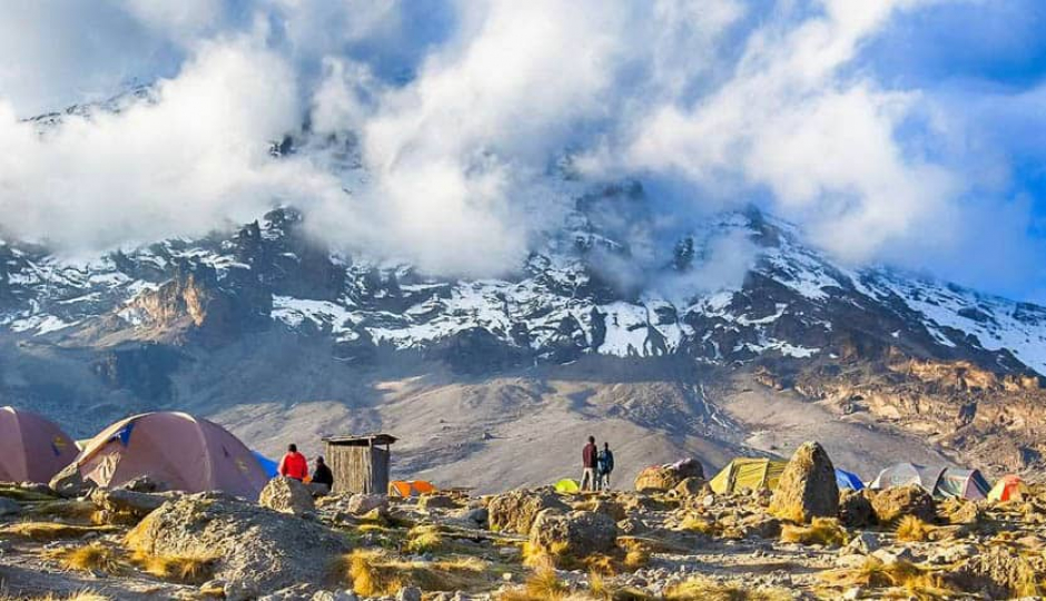 Kilimanjaro Trek Lemosho Route - 8 Days