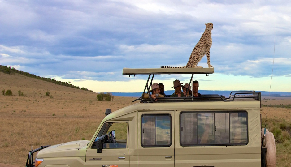 Actual image number 19 for slideshow images, displaying 39 tanzania safari images