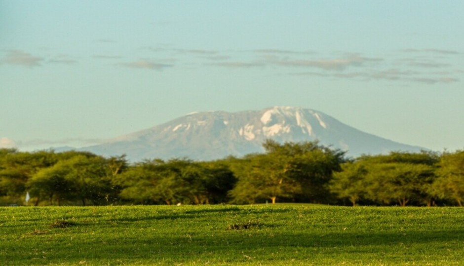 Actual image number 8 for slideshow images, displaying 28 tanzania safari images