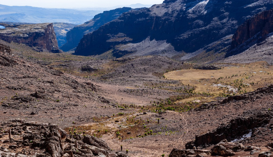 Random image number 3 showcasing tanzania safari image gallery placeholder