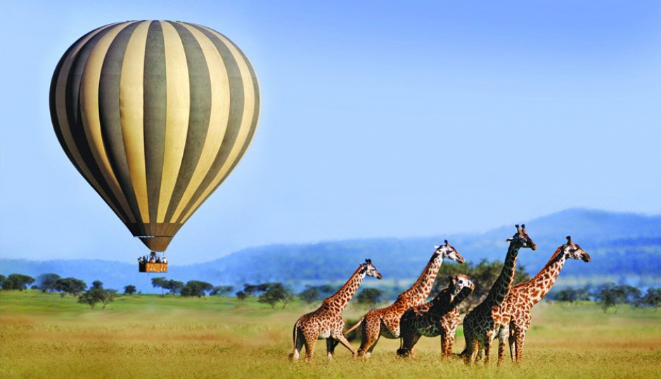 Actual image number 2 for slideshow images, displaying 22 tanzania safari images