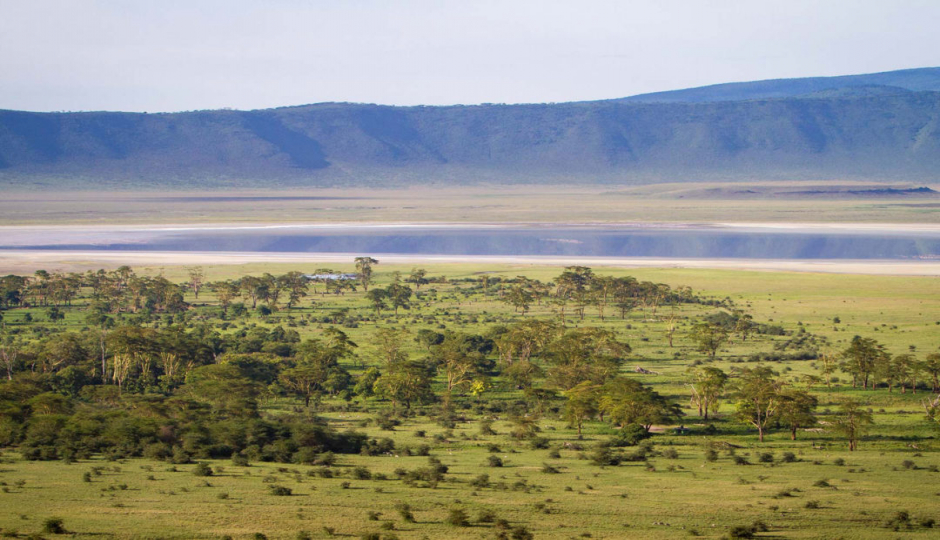 Actual image number 11 for slideshow images, displaying 31 tanzania safari images