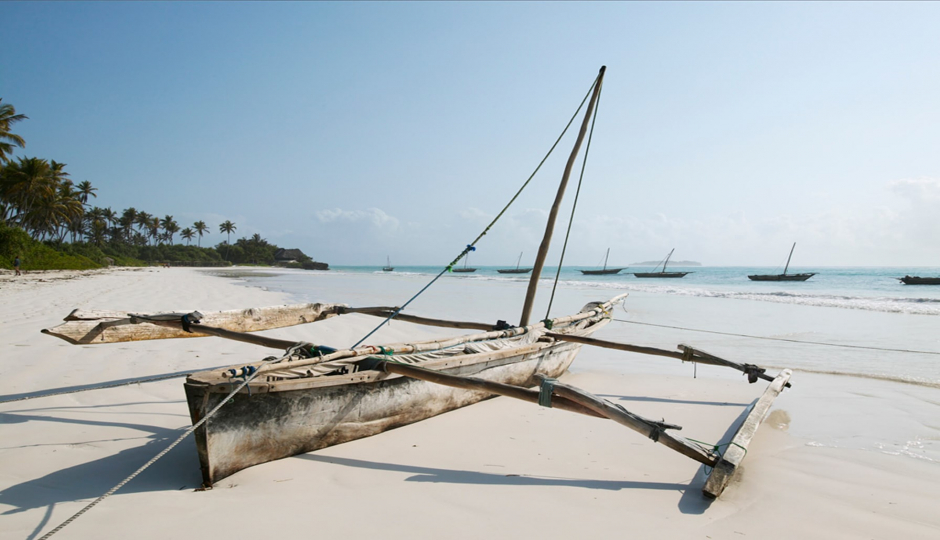 Random image number 6 showcasing tanzania safari image gallery placeholder