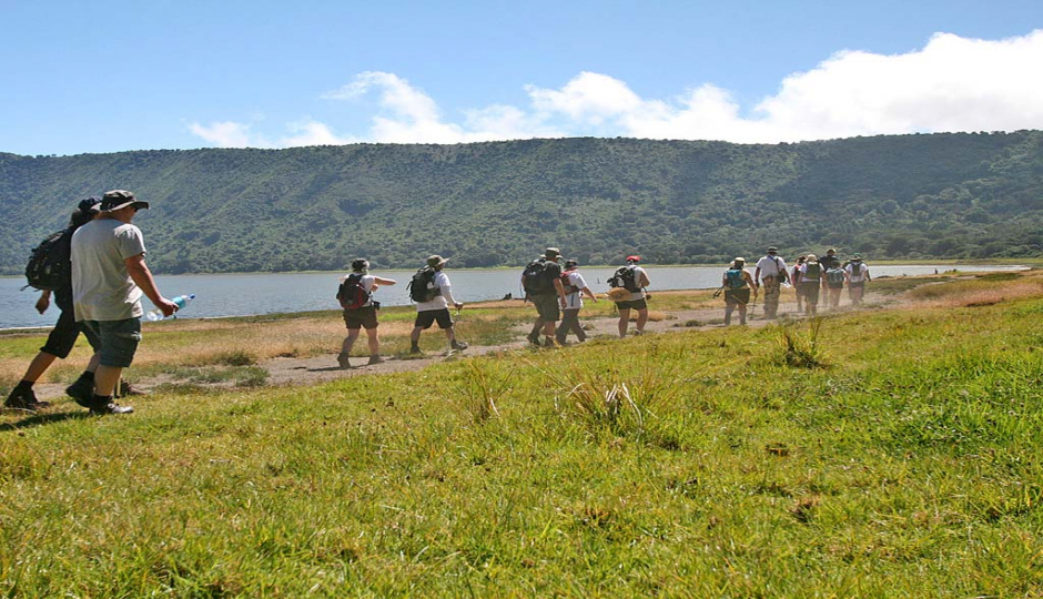 Random image number 3 showcasing tanzania safari image gallery placeholder