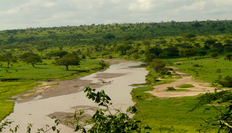 Actual image number 16 for slideshow images, displaying 36 tanzania safari images