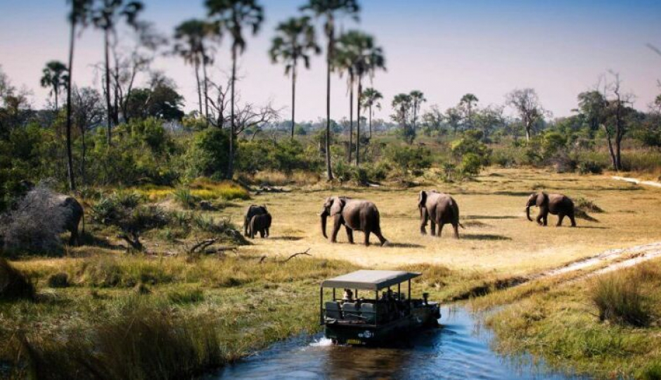 Actual image number 10 for slideshow images, displaying 30 tanzania safari images