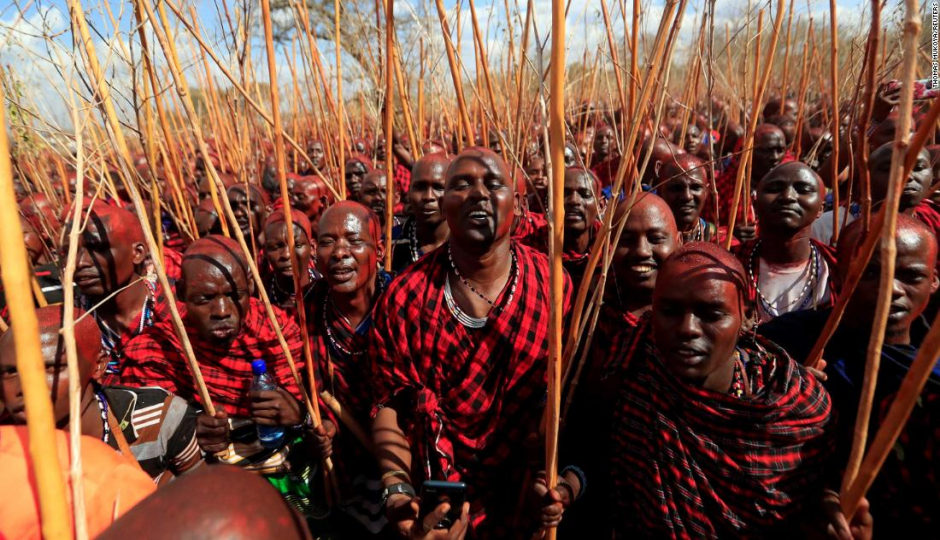 Actual image number 2 for slideshow images, displaying 22 tanzania safari images
