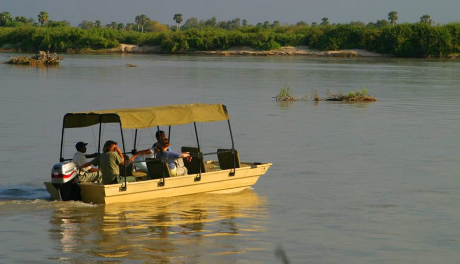 Actual image number 17 for slideshow images, displaying 37 tanzania safari images
