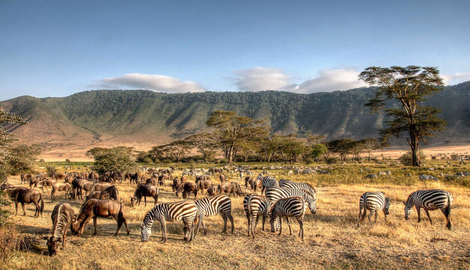 Actual image number 8 for slideshow images, displaying 28 tanzania safari images