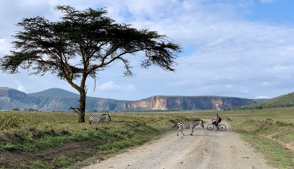 Actual image number 1 for slideshow images, displaying 21 tanzania safari images