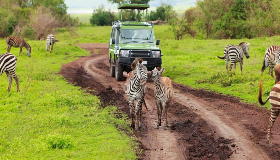 Actual image number 8 for slideshow images, displaying 28 tanzania safari images