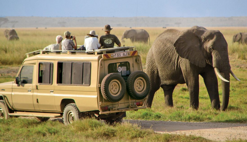 Actual image number 18 for slideshow images, displaying 38 tanzania safari images
