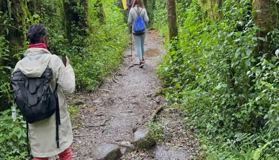 Thumb Nail Image: 1 How to Prepare for Kilimanjaro Trek