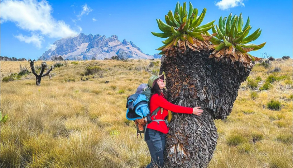 Thumb Nail Image: 3 How to Prepare for Kilimanjaro Trek
